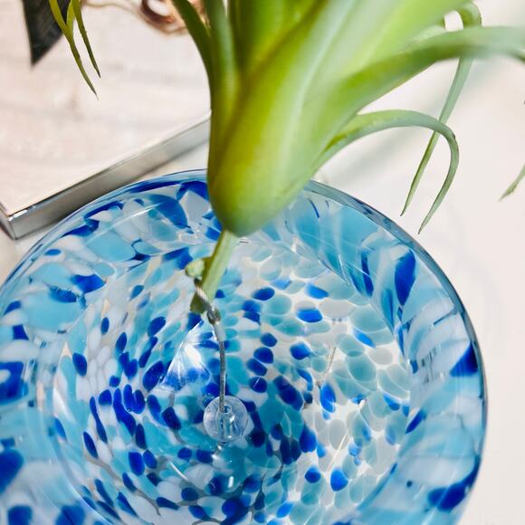 The Ultimate Innovations Jellyfish Colored Glass Air Plant Hanging Globe 2 - Picture 7 of 8